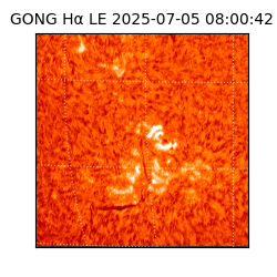 gong - 2025-07-05T08:00:42