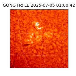 gong - 2025-07-05T01:00:42