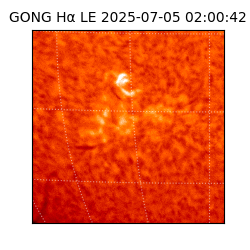 gong - 2025-07-05T02:00:42