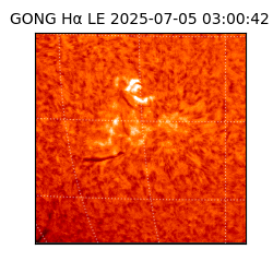 gong - 2025-07-05T03:00:42