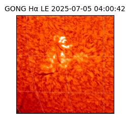 gong - 2025-07-05T04:00:42