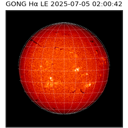 gong - 2025-07-05T02:00:42