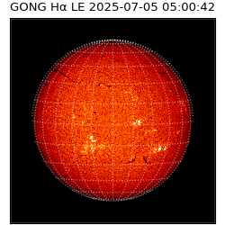 gong - 2025-07-05T05:00:42