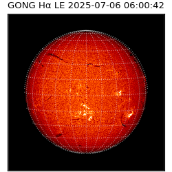 gong - 2025-07-06T06:00:42
