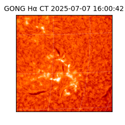 gong - 2025-07-07T16:00:42