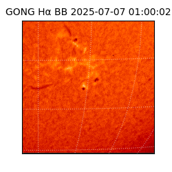 gong - 2025-07-07T01:00:02