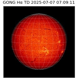 gong - 2025-07-07T07:09:11