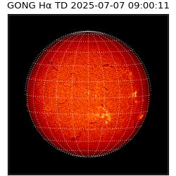 gong - 2025-07-07T09:00:11