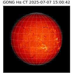 gong - 2025-07-07T15:00:42