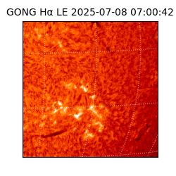 gong - 2025-07-08T07:00:42