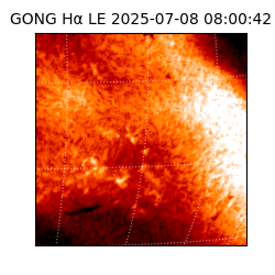 gong - 2025-07-08T08:00:42