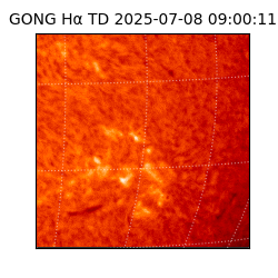 gong - 2025-07-08T09:00:11