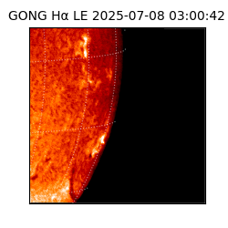 gong - 2025-07-08T03:00:42