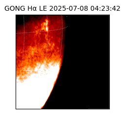 gong - 2025-07-08T04:23:42