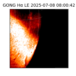gong - 2025-07-08T08:00:42