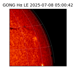 gong - 2025-07-08T05:00:42