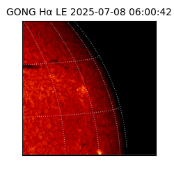 gong - 2025-07-08T06:00:42
