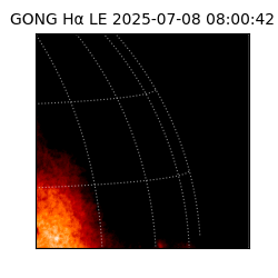 gong - 2025-07-08T08:00:42