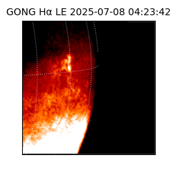 gong - 2025-07-08T04:23:42