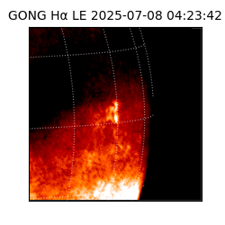 gong - 2025-07-08T04:23:42
