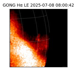 gong - 2025-07-08T08:00:42