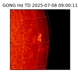 gong - 2025-07-08T09:00:11