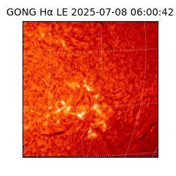 gong - 2025-07-08T06:00:42