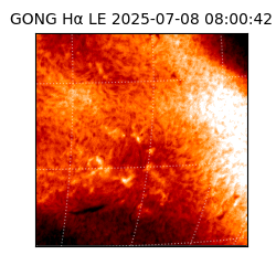 gong - 2025-07-08T08:00:42