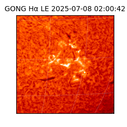 gong - 2025-07-08T02:00:42