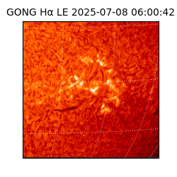 gong - 2025-07-08T06:00:42