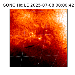 gong - 2025-07-08T08:00:42