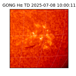 gong - 2025-07-08T10:00:11