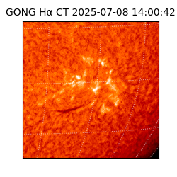 gong - 2025-07-08T14:00:42