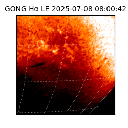 gong - 2025-07-08T08:00:42
