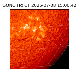 gong - 2025-07-08T15:00:42