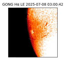 gong - 2025-07-08T03:00:42