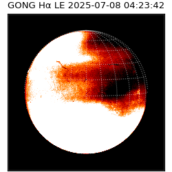 gong - 2025-07-08T04:23:42