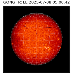 gong - 2025-07-08T05:00:42
