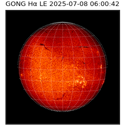 gong - 2025-07-08T06:00:42