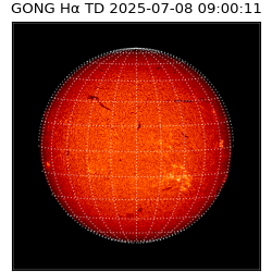 gong - 2025-07-08T09:00:11