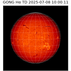 gong - 2025-07-08T10:00:11