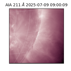 saia - 2025-07-09T09:00:09.632000