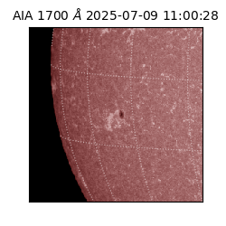 saia - 2025-07-09T11:00:28.717000