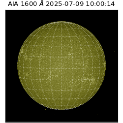 saia - 2025-07-09T10:00:14.125000