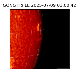 gong - 2025-07-09T01:00:42