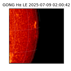 gong - 2025-07-09T02:00:42
