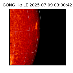 gong - 2025-07-09T03:00:42