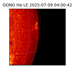 gong - 2025-07-09T04:00:42