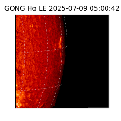 gong - 2025-07-09T05:00:42