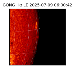 gong - 2025-07-09T06:00:42